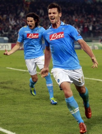 哈雷尔的双 哈雷尔的双